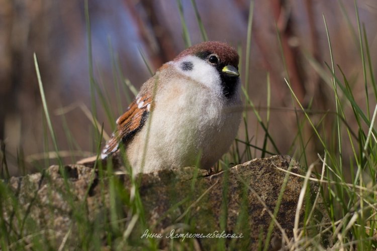 Воробушки — Валяные игрушки из шерсти: сухое валяние