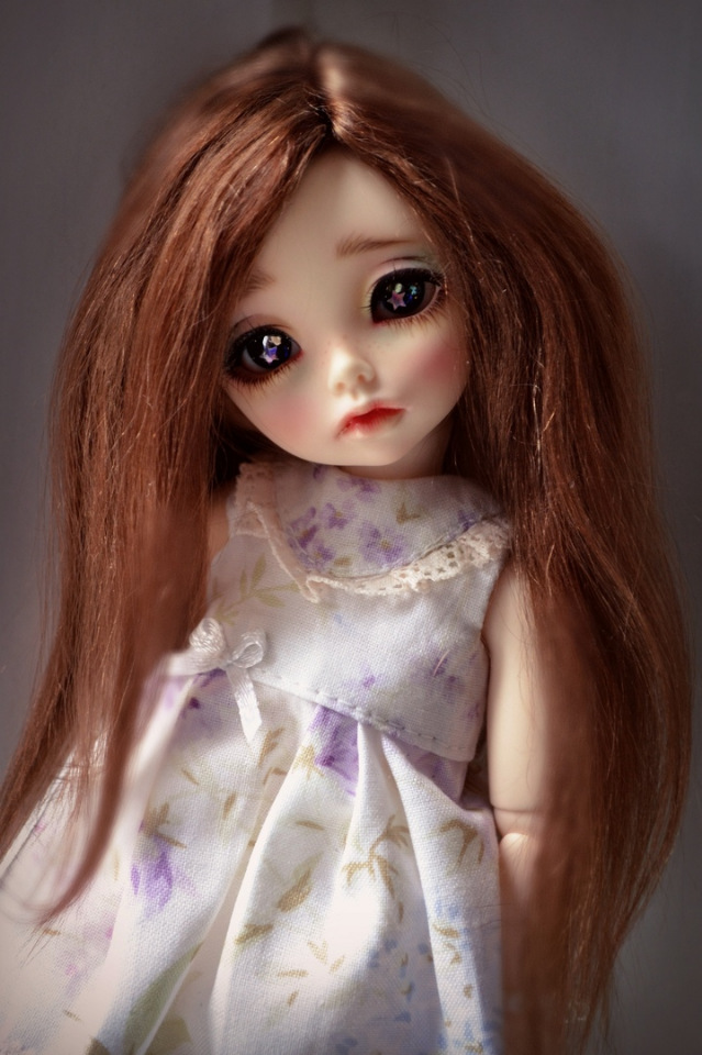 Моя малышня Литлфи и Пукифи (фото 4)