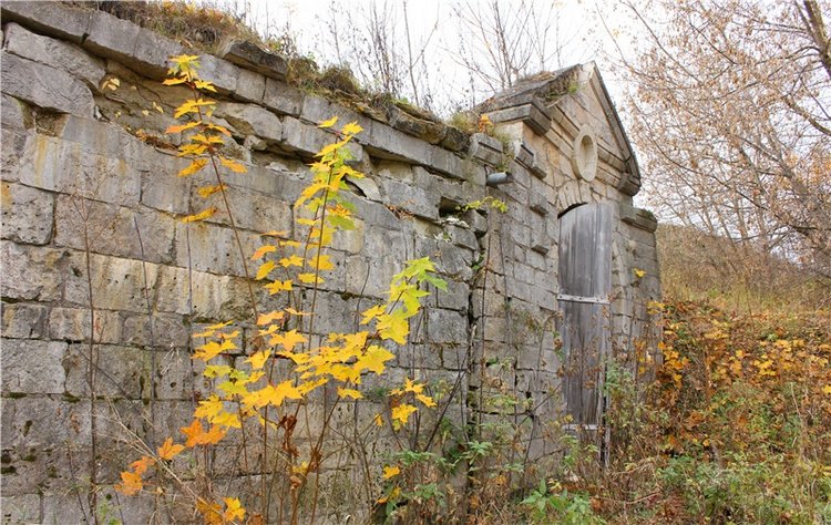 Осеннее путешествие с Мишей. Zwergnase Mischa | Бэйбики Осеннее путешествие с Мишей. Zwergnase Mischa (фото 4)