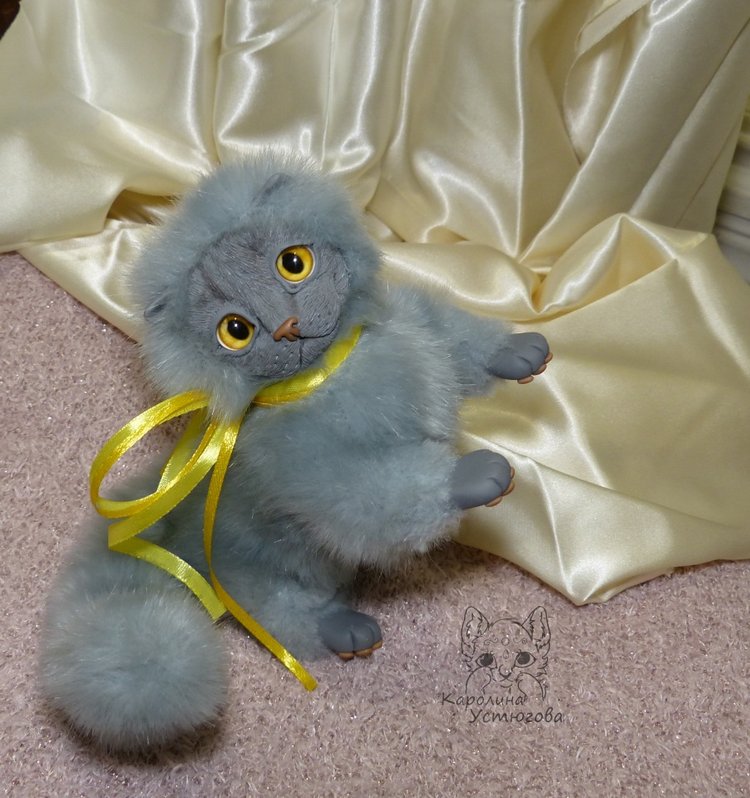 Котенок. Шотландский вислоухий (фото 7)