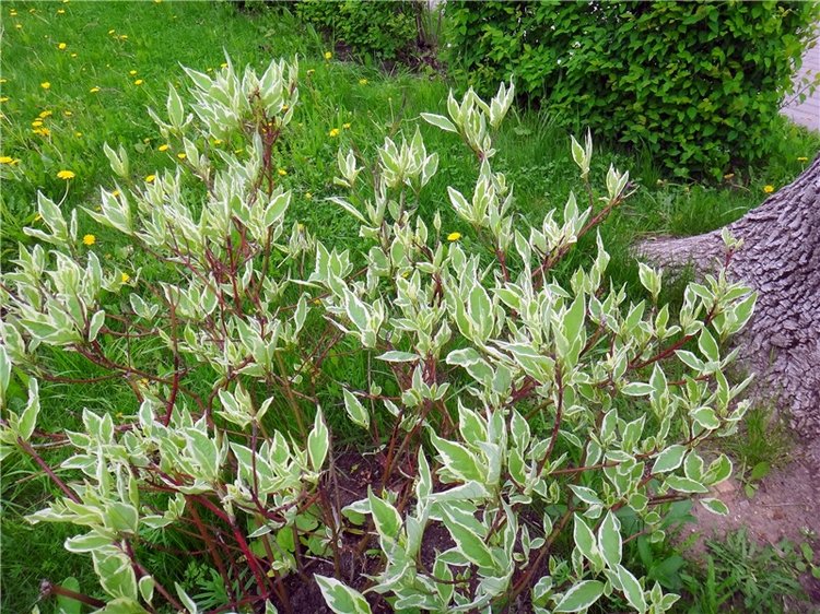 Милый мой город. Прогулка по Твери, заключительная часть