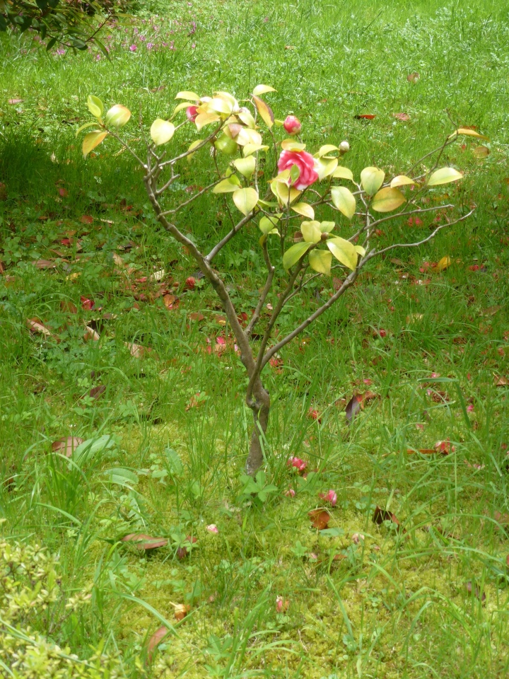 Сочи-Адлер: Южное Взморье - Мои любимые куколки на отдыхе