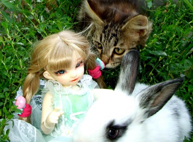 Кролики превращаются... превращаются... А котик улыбается) (фото 7)