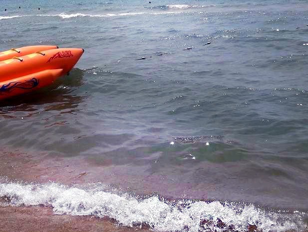 Воспоминания о море и лете - Витязево