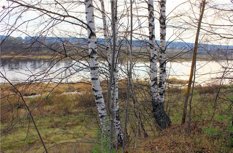 Гришутка — Винтажные куклы ГДР (Немки): Бигги