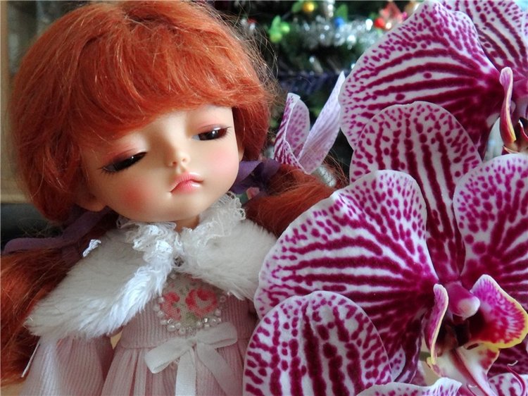 Софи. Lati HoneyBee New Mystic Sophie | Бэйбики Софи. Lati HoneyBee New Mystic Sophie