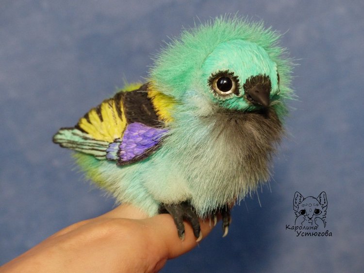 Зеленоголовая танагра, чудо птичка (фото 3)