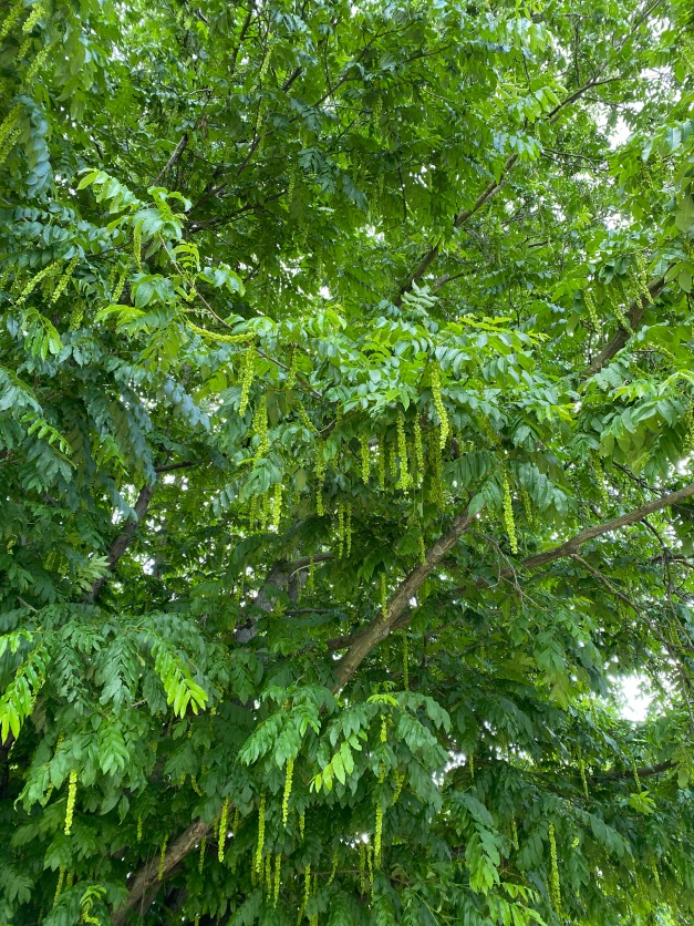 Галопом по Европам... 2 Часть