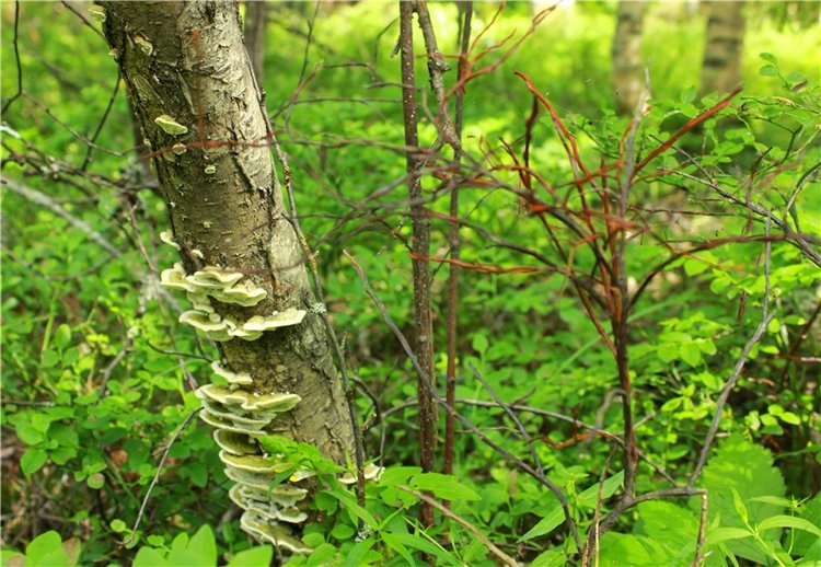 Путешествие Эли на красивый берег реки Волги (фото 9)