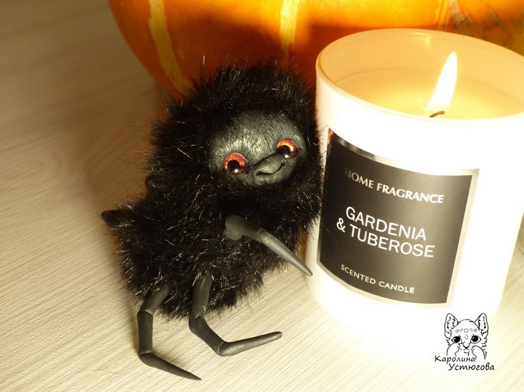 Halloween и маленькие паучки