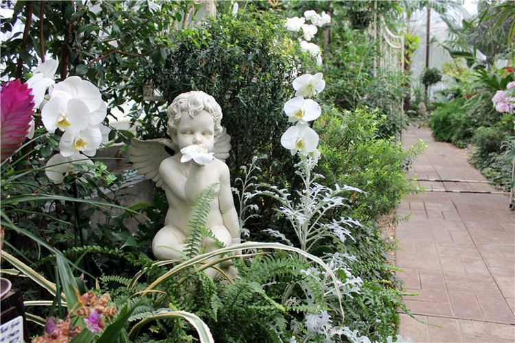 Тверской Ботанический Сад