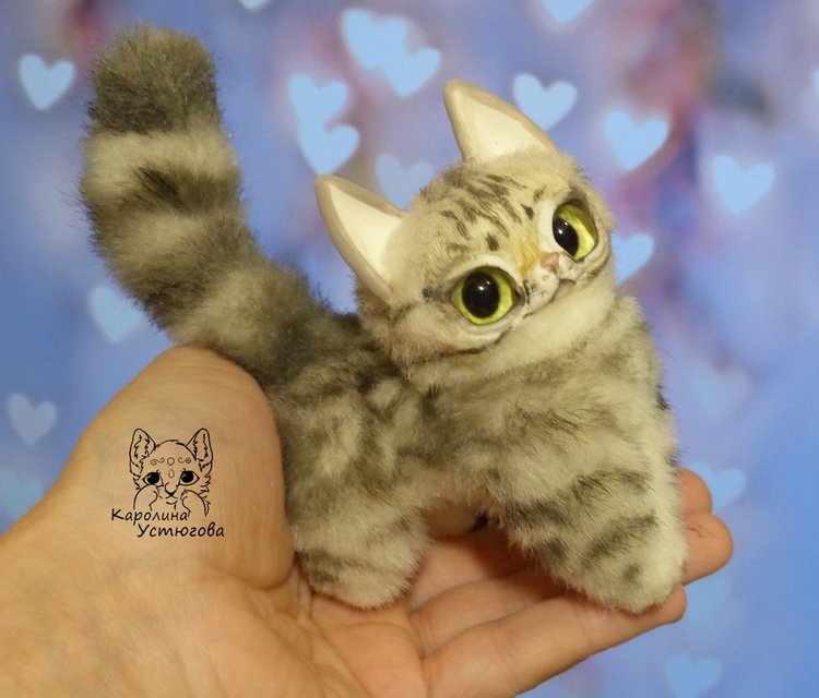 Американские короткошерстные котята (фото 6)