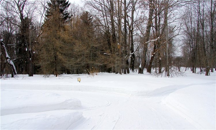 Снежный Март — Туризм и путешествия: фотоотчеты из поездок