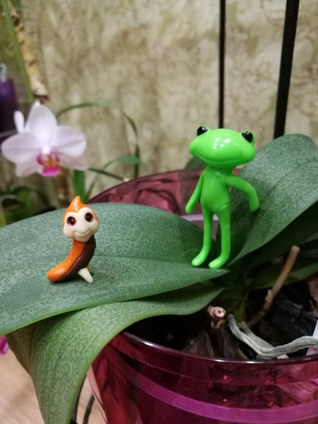 Добро пожаловать в удивительный мир Ванды