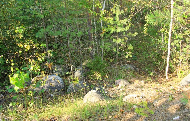 Инопланетянка Нийя. Custom Blythe Doll UFO Go Go Takara