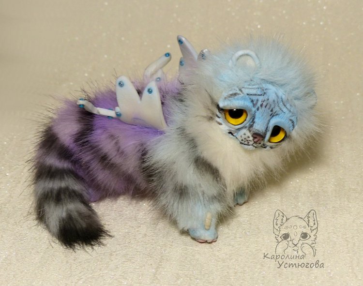 Ахисмио Тигровый в новом окрасе