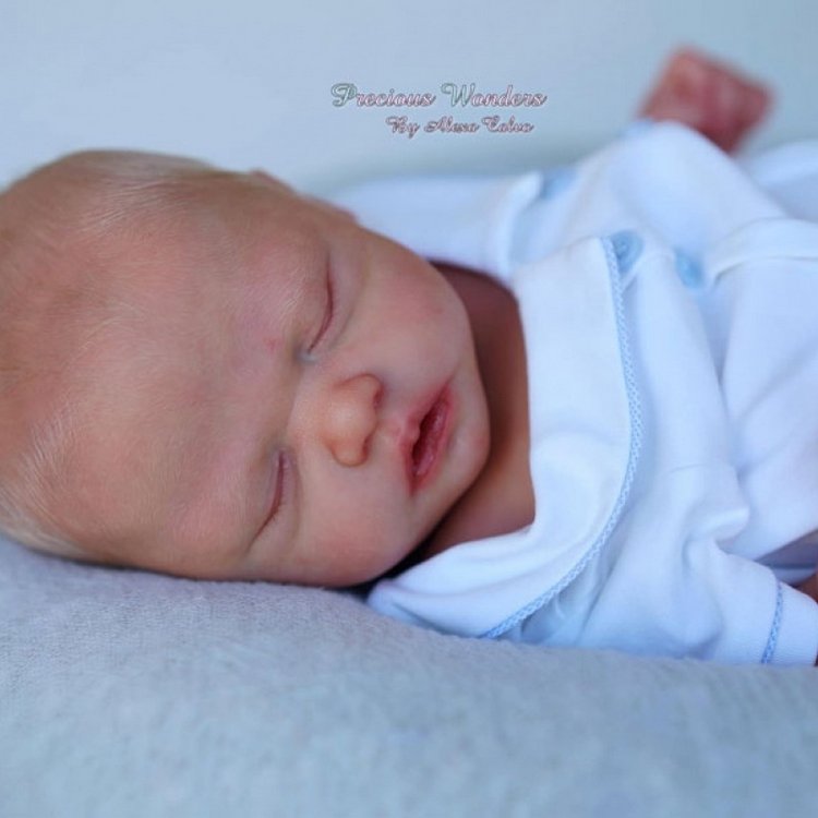 Молд Trouble Скульптор Nikki Johnston (фото 6)