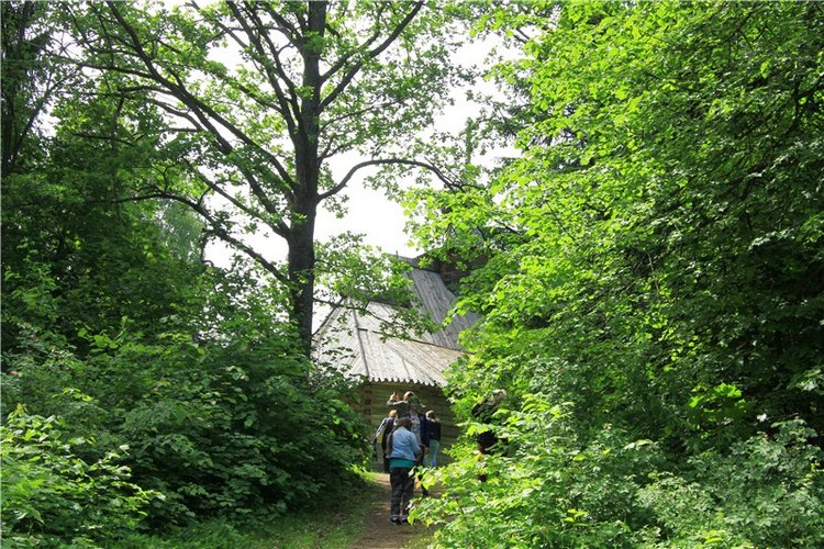 "Троицкие гуляния" в Василёво, 2018 год. Архитектурно-этнографический музей под открытым небом Василёво