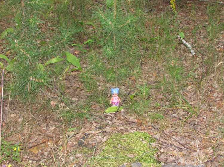 Путешествие в Нижегородскую область - часть 2 - Размещение в деревушке и прогулка по окресностям