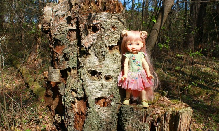 Весенняя Фея. Kyrra Fair Meadow doll | Бэйбики Весенняя Фея. Kyrra Fair Meadow doll