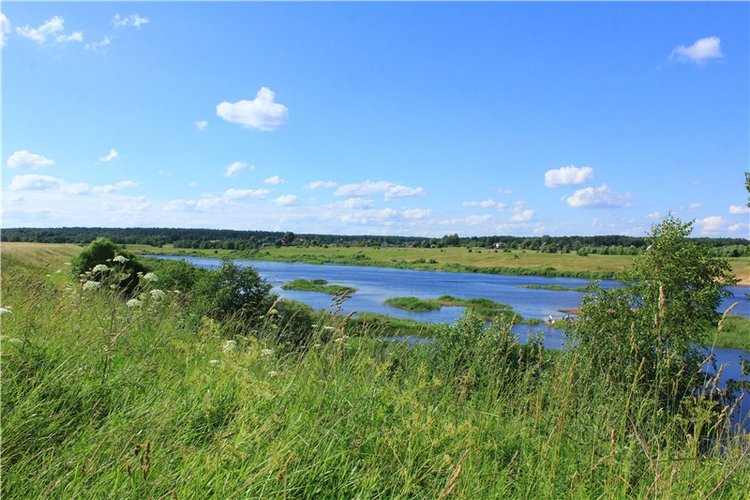 Путешествие Эли на красивый берег реки Волги