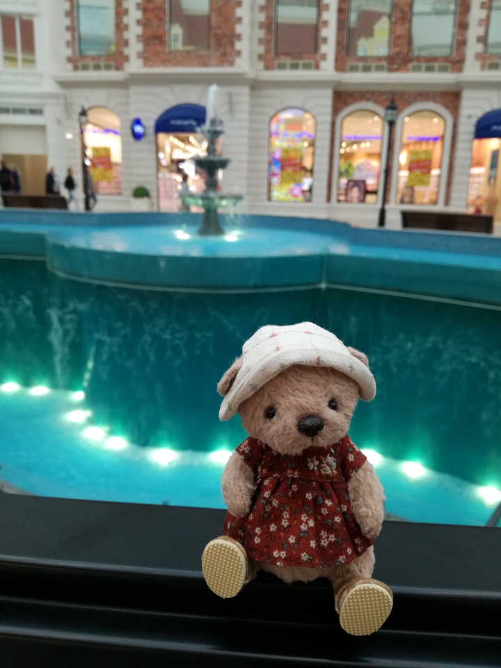 Знакомьтесь, новый вид медведей - медведь сумочный