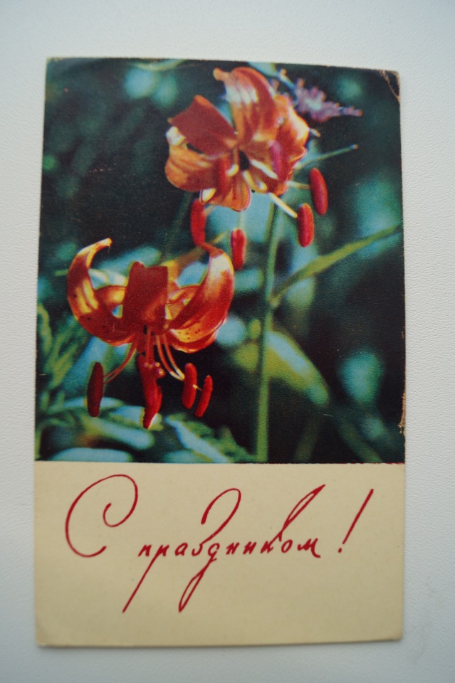 Советские открытки на каждый праздник. Годовой цикл. 23 февраля (фото 6)