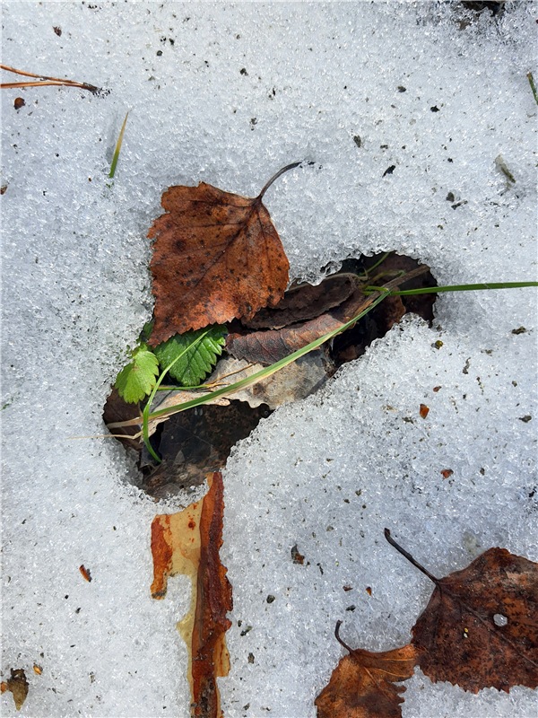 Весна в "Саду Камней" | Бэйбики Весна в "Саду Камней" — Куклы Meadow dolls (Медовушки): BJD (БЖД)