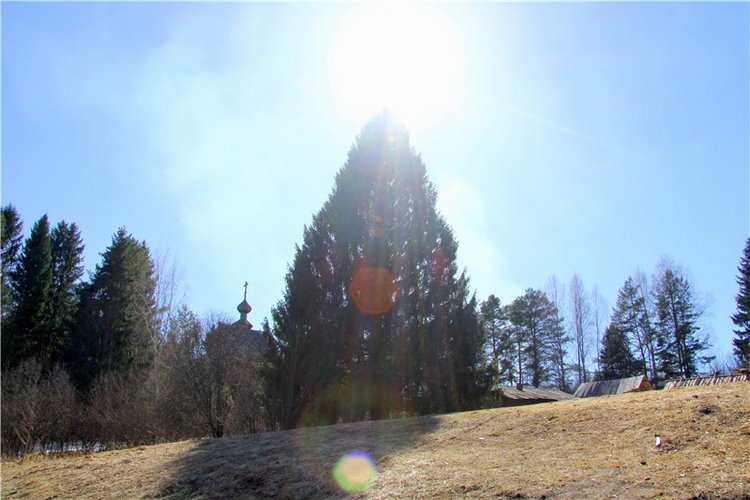 Апрельский день в Василёво, третья часть