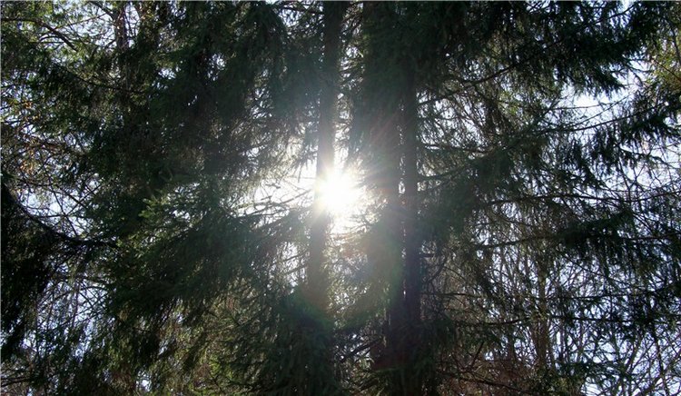 Апрельский день в Василёво, заключительная часть