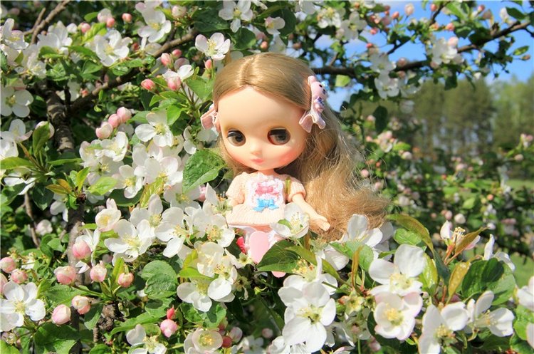 Застенчивая Алиса. Middie Blythe Doll Pebble Cakes & Shrinking Alice (фото 2)