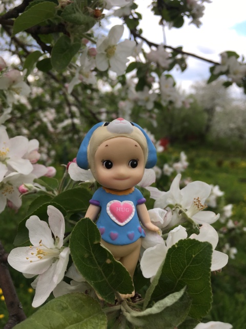 Поездка на дачу с Mui-chan, Migliorati и Sonny angel