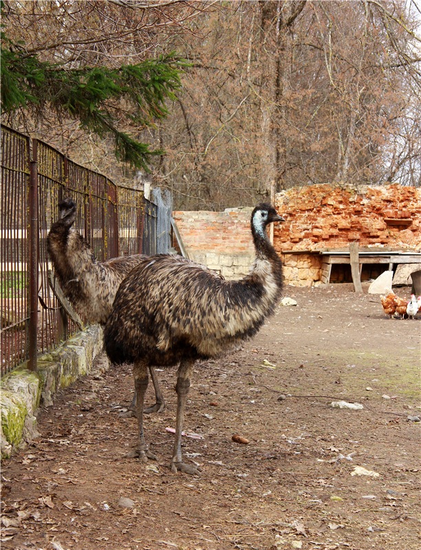 Усадьба Чукавино, Тверская область