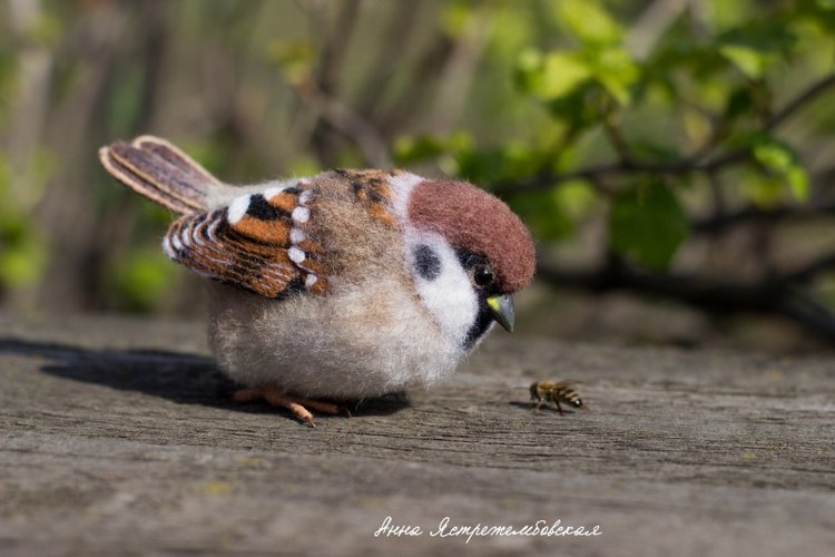 Воробушки — Валяные игрушки из шерсти: сухое валяние