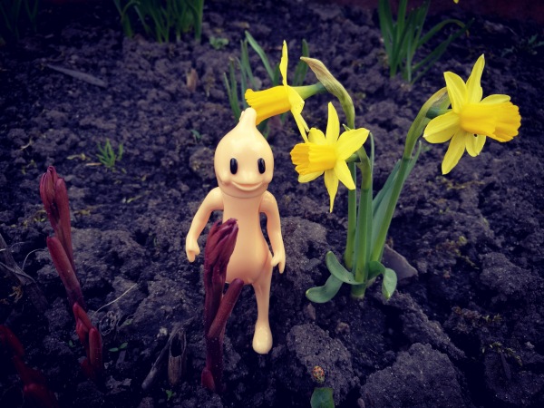 Добро пожаловать в удивительный мир Ванды