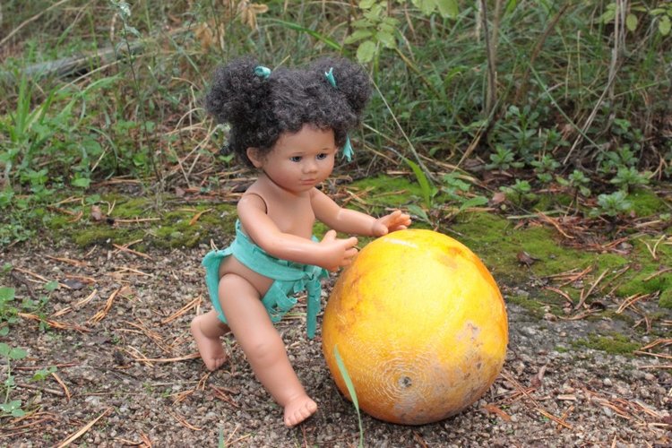 Базовичок обыкновенный. Дикий, но симпатичный | Бэйбики Базовичок обыкновенный. Дикий, но симпатичный