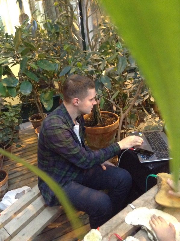 Аптекарский огород сегодня. ч.5. Грибной фестиваль