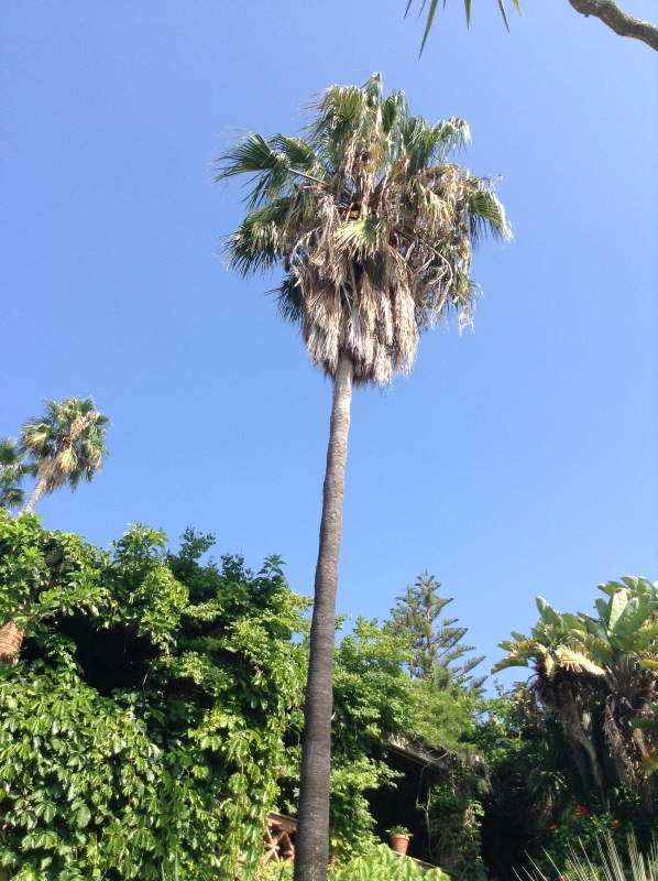 Путешествие Минуш в Испанию. Каталония. Ч.3. Райские сады