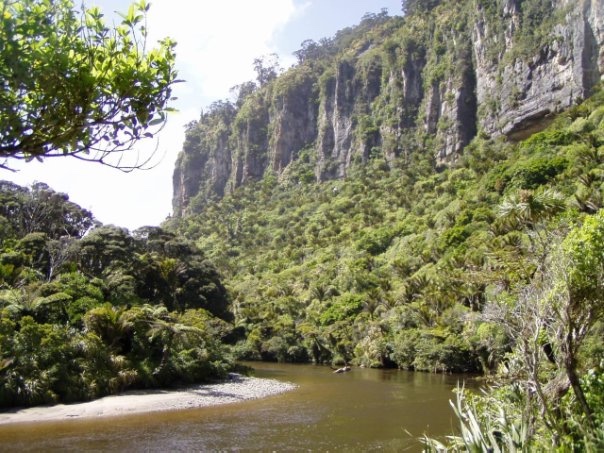 Увлекательное путешествие по Новой Зеландии