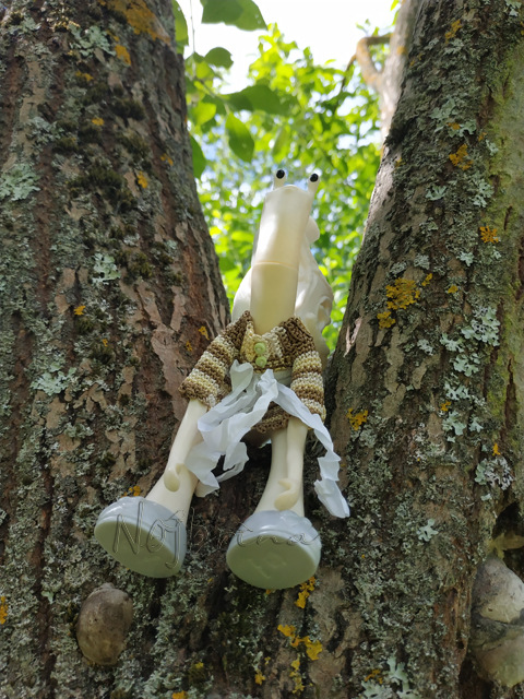 Wonderfrog. Красота в простоте