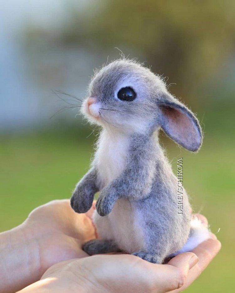 Ожившие зверушки, реализм и эстетика