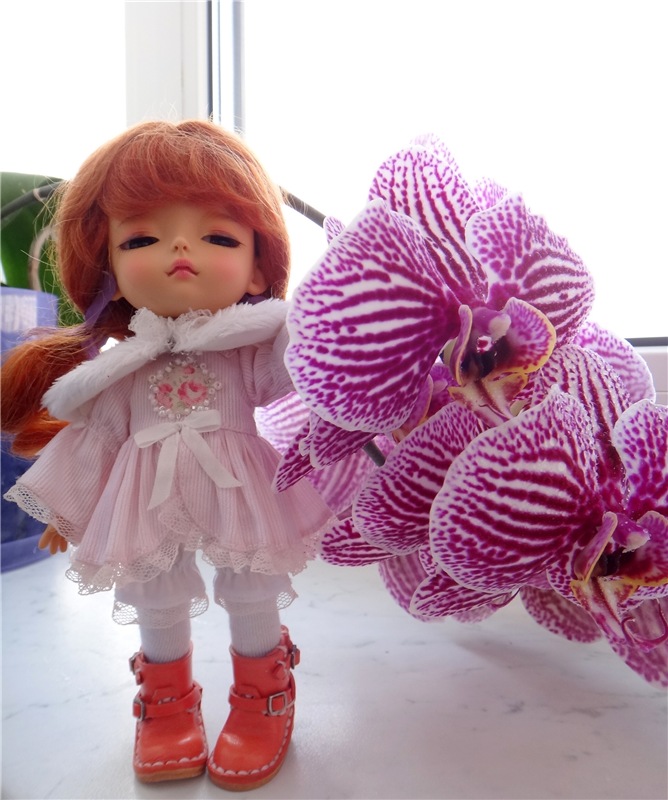 Софи. Lati HoneyBee New Mystic Sophie | Бэйбики Софи. Lati HoneyBee New Mystic Sophie