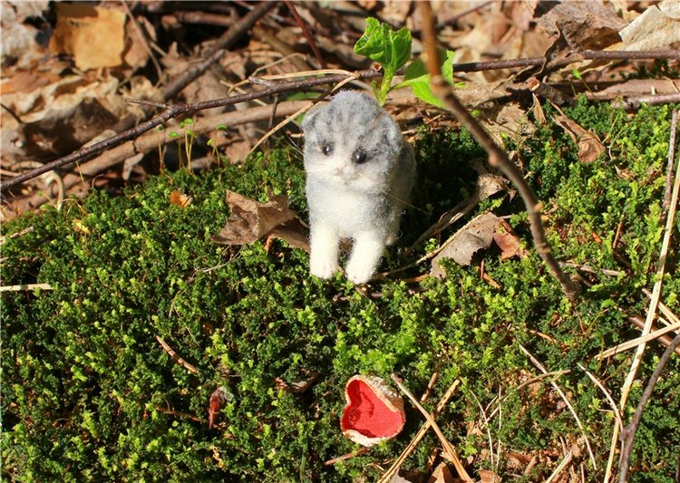 Путешествие Софи в Старицу. Lati HoneyBee New Mystic Sophie