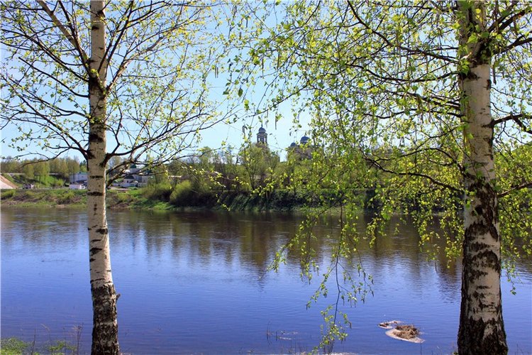 Путешествие Софи в Старицу, заключительная часть. Lati HoneyBee New Mystic Sophie (фото 6)