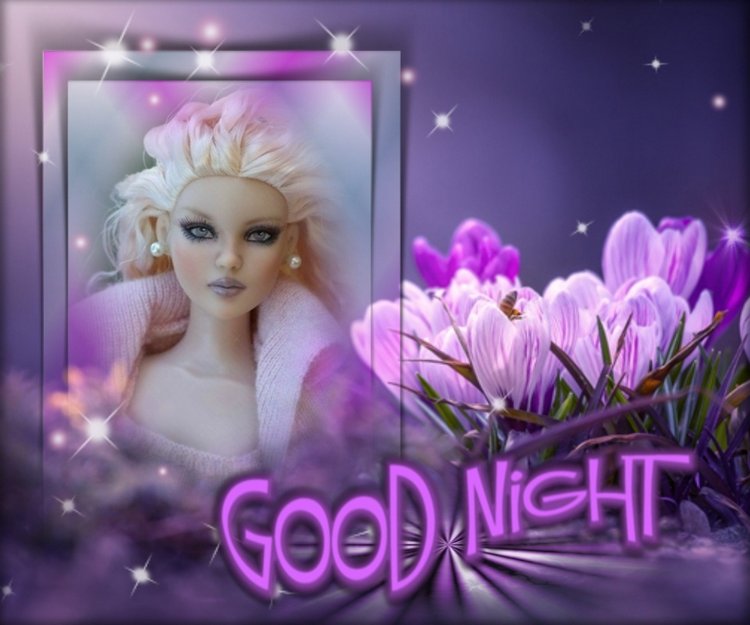 Мои Тоннерки. Фотозарисовки