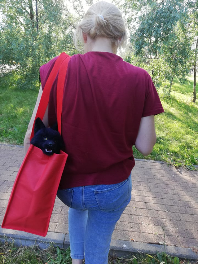 Мой домашний волчок — Домашние фото авторских игрушек: Тедди