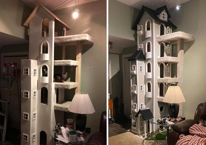 Кошкин дом в доме человека (фото 2)