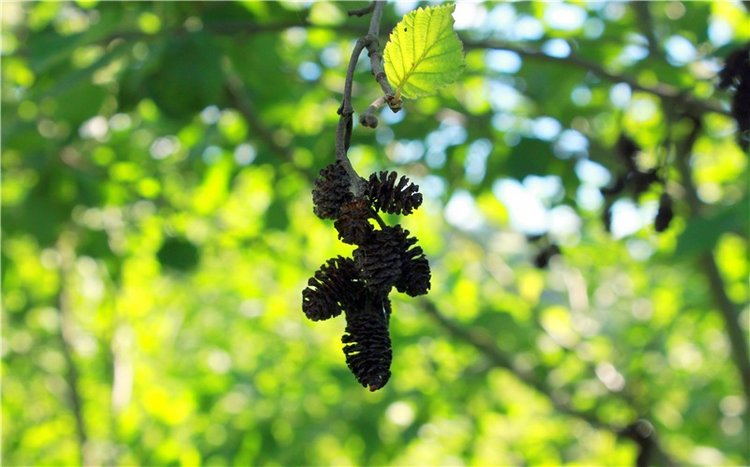 Путешествие Эли на красивый берег реки Волги