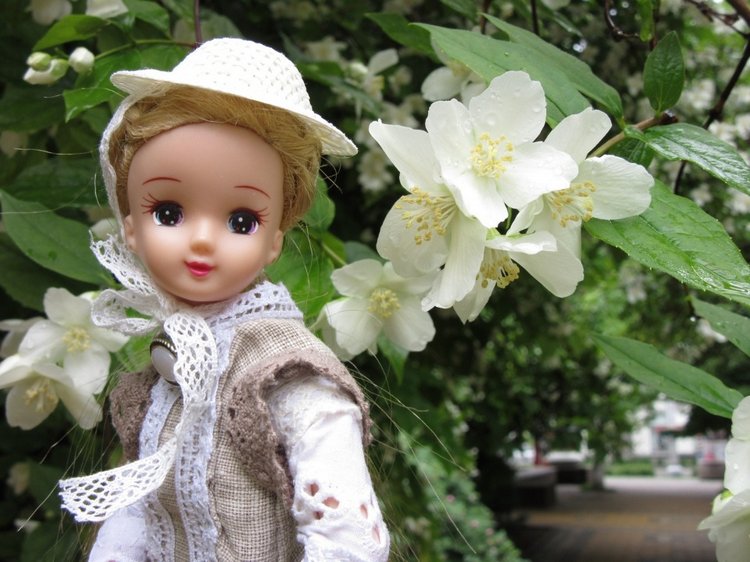 Утренний летний дождь — Куклы Takara Tomy (Такара): Licca (Ликка)