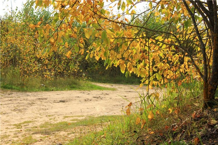 "Бабье Лето" на Водопаде, продолжение